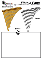 Fletnia Pana